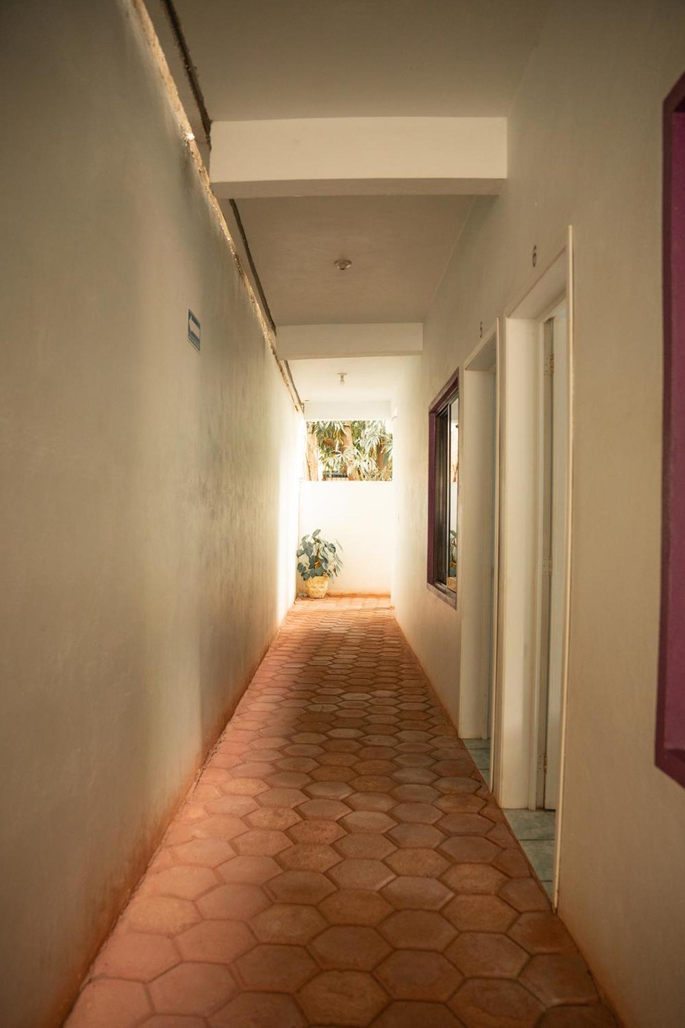 Hotel Palmarito بويرتو إسكونديدو المظهر الخارجي الصورة