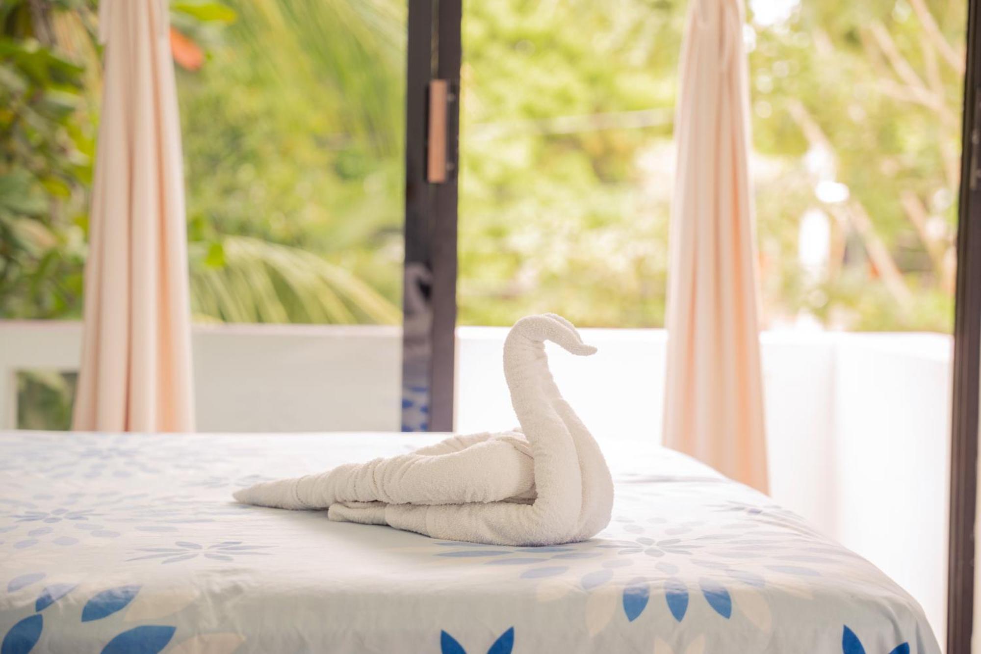 Hotel Palmarito بويرتو إسكونديدو المظهر الخارجي الصورة